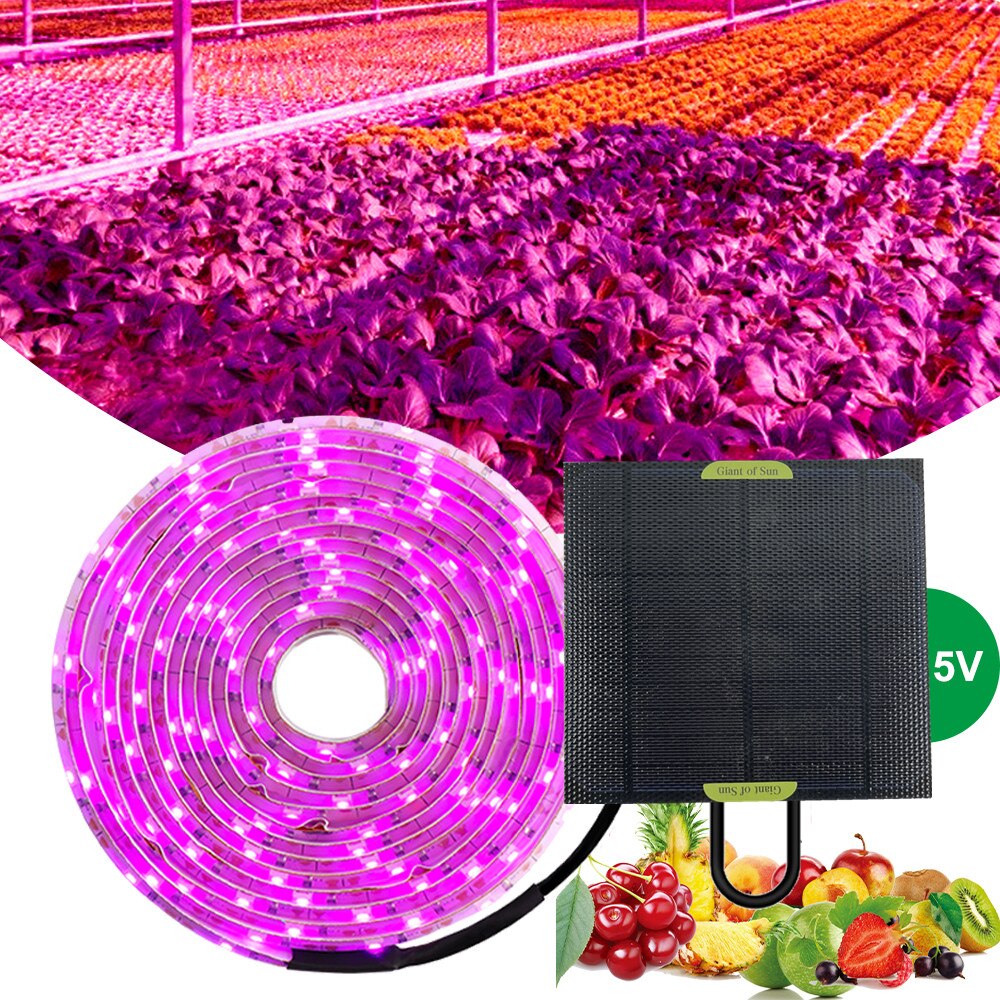 LED 풀 스펙트럼 파이토램프 5V 2835, 식물 조명 스트립, 피토램프, 꽃 온실 텐트, 수경재배